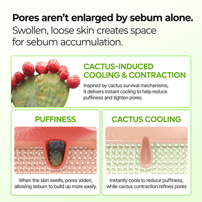 Dr.Melaxin Cactox & Calcium Multi Balm Pore Firming Duo with Cactus Cooling & Eye Care Stick for Visible Pore Refining and Skin Repair